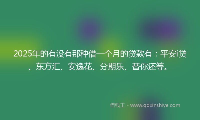 2025年的有没有那种借一个月的贷款有：平安i贷、东方汇、安逸花、分期乐、替你还等。