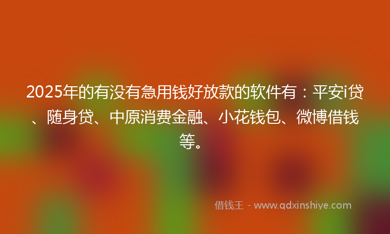2025年的有没有急用钱好放款的软件有：平安i贷、随身贷、中原消费金融、小花钱包、微博借钱等。