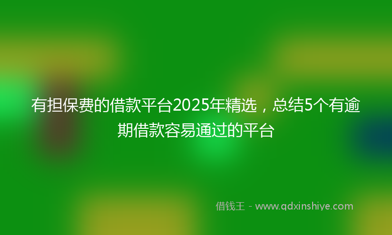 有担保费的借款平台2025年精选，总结5个有逾期借款容易通过的平台