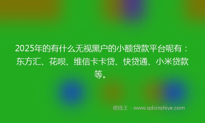 2025年的有什么无视黑户的小额贷款平台呢有：东方汇、花呗、维信卡卡贷、快贷通、小米贷款等。