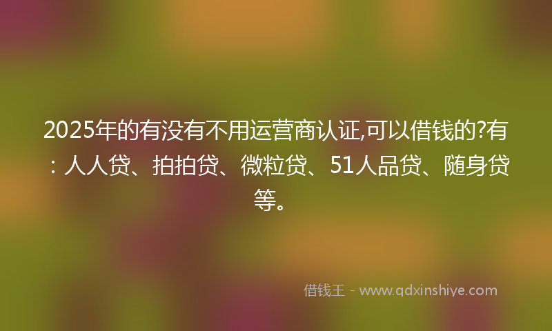 2025年的有没有不用运营商认证,可以借钱的?有：人人贷、拍拍贷、微粒贷、51人品贷、随身贷等。