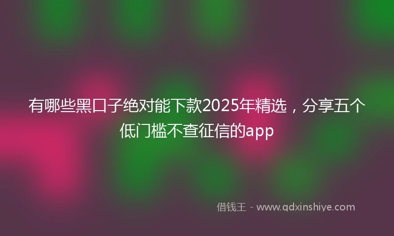 有哪些黑口子绝对能下款2025年精选，分享五个低门槛不查征信的app