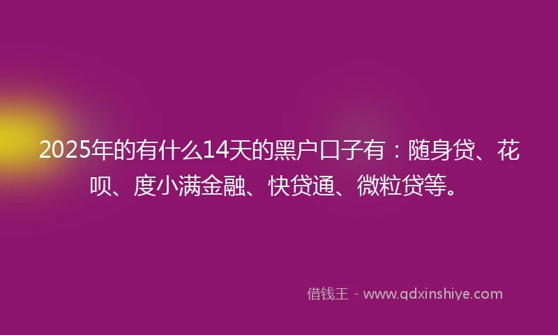 2025年的有什么14天的黑户口子有：随身贷、花呗、度小满金融、快贷通、微粒贷等。