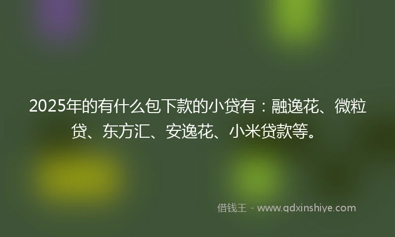 2025年的有什么包下款的小贷有：融逸花、微粒贷、东方汇、安逸花、小米贷款等。