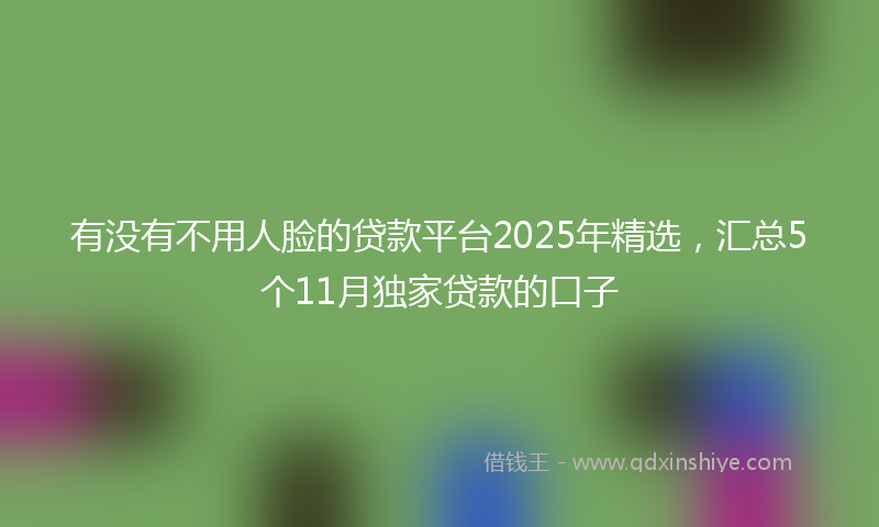 有没有不用人脸的贷款平台2025年精选，汇总5个11月独家贷款的口子