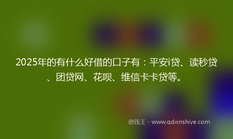 2025年的有什么好借的口子有：平安i贷、读秒贷、团贷网、花呗、维信卡卡贷等。