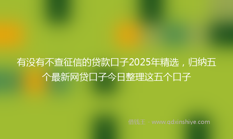 有没有不查征信的贷款口子2025年精选，归纳五个最新网贷口子今日整理这五个口子