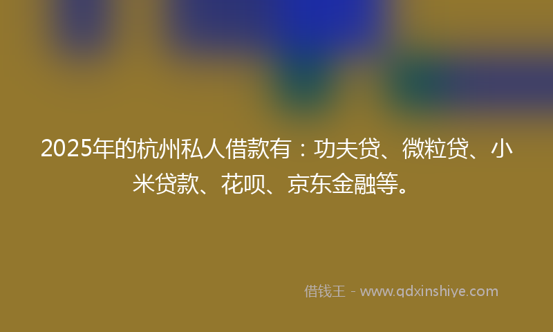 2025年的杭州私人借款有：功夫贷、微粒贷、小米贷款、花呗、京东金融等。