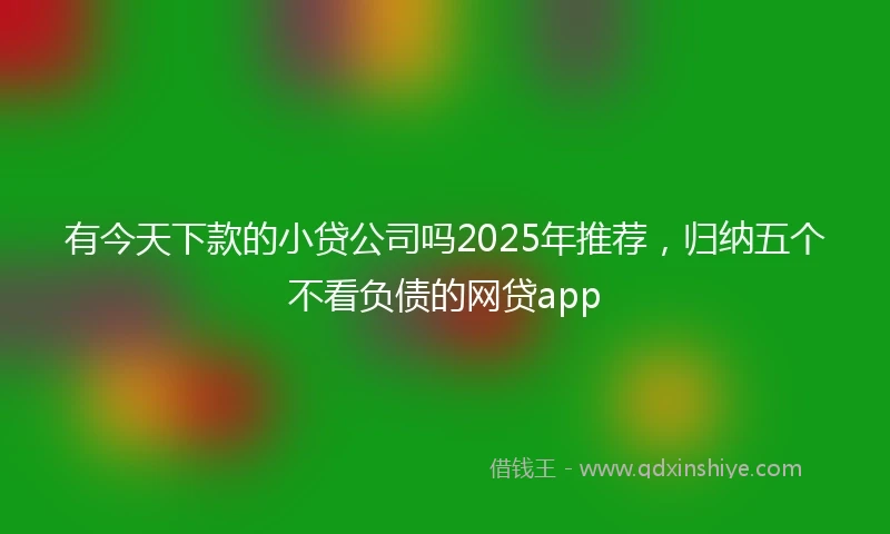 有今天下款的小贷公司吗2025年推荐，归纳五个不看负债的网贷app