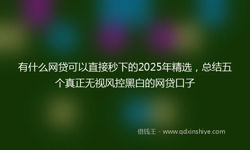 有什么网贷可以直接秒下的2025年精选，总结五个真正无视风控黑白的网贷口子