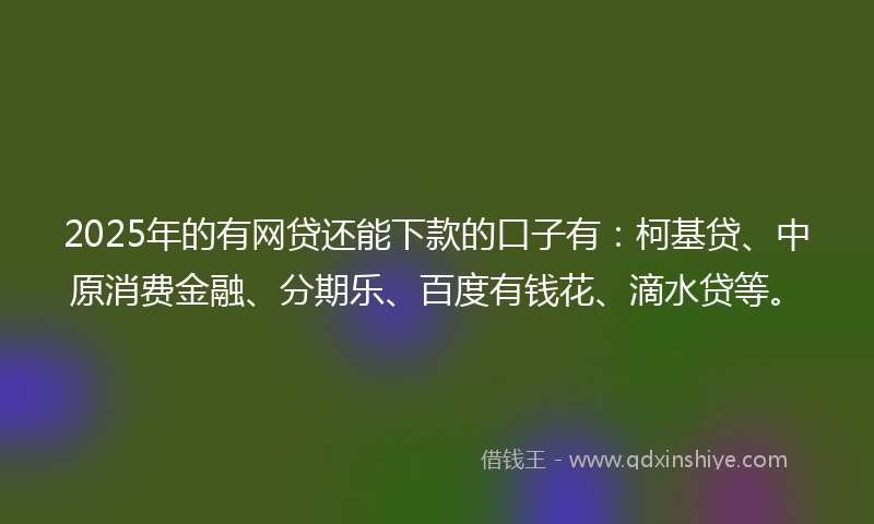 2025年的有网贷还能下款的口子有：柯基贷、中原消费金融、分期乐、百度有钱花、滴水贷等。