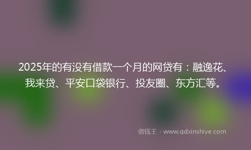 2025年的有没有借款一个月的网贷有：融逸花、我来贷、平安口袋银行、投友圈、东方汇等。