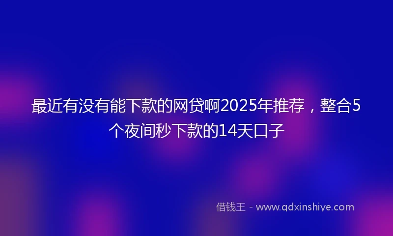 最近有没有能下款的网贷啊2025年推荐，整合5个夜间秒下款的14天口子