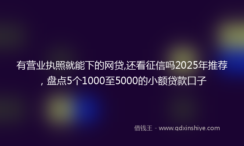 有营业执照就能下的网贷,还看征信吗2025年推荐，盘点5个1000至5000的小额贷款口子