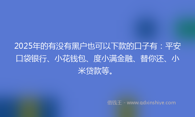 2025年的有没有黑户也可以下款的口子有：平安口袋银行、小花钱包、度小满金融、替你还、小米贷款等。