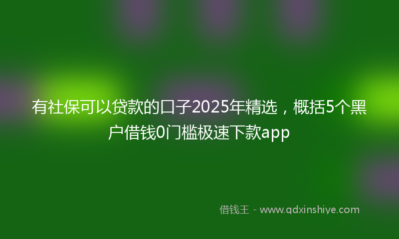有社保可以贷款的口子2025年精选，概括5个黑户借钱0门槛极速下款app
