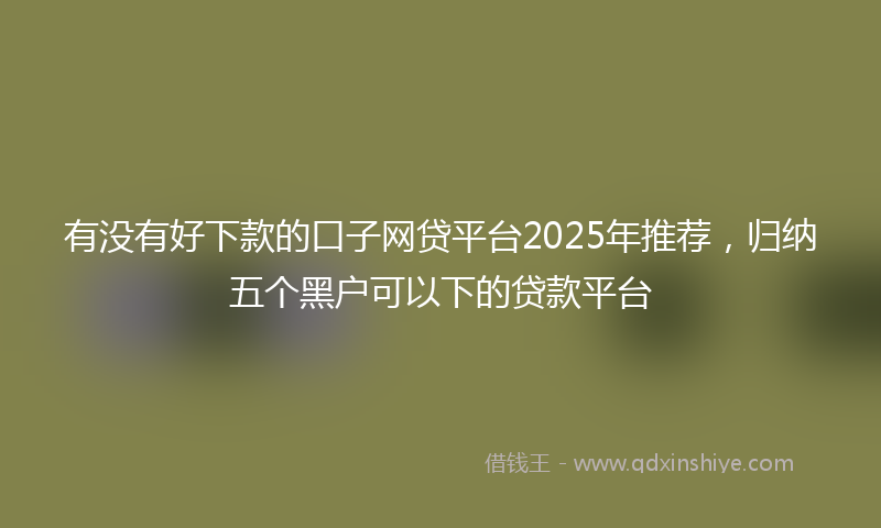 有没有好下款的口子网贷平台2025年推荐，归纳五个黑户可以下的贷款平台