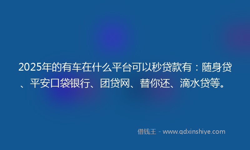 2025年的有车在什么平台可以秒贷款有：随身贷、平安口袋银行、团贷网、替你还、滴水贷等。