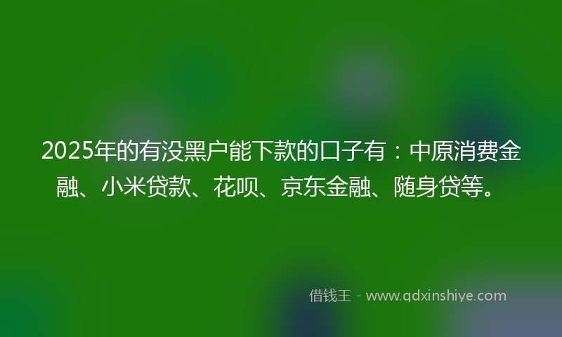 2025年的有没黑户能下款的口子有：中原消费金融、小米贷款、花呗、京东金融、随身贷等。