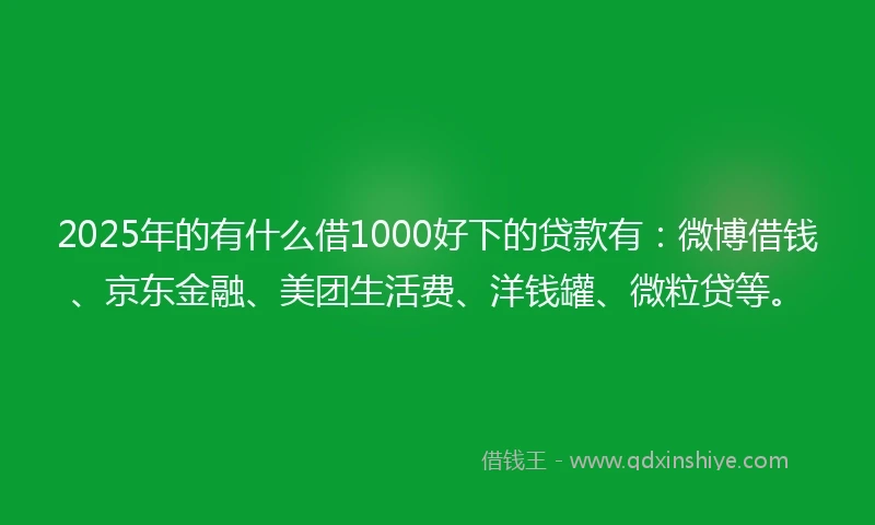2025年的有什么借1000好下的贷款有：微博借钱、京东金融、美团生活费、洋钱罐、微粒贷等。