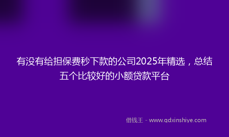 有没有给担保费秒下款的公司2025年精选，总结五个比较好的小额贷款平台