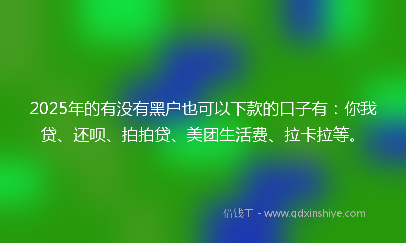 2025年的有没有黑户也可以下款的口子有：你我贷、还呗、拍拍贷、美团生活费、拉卡拉等。