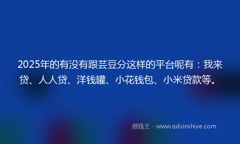 2025年的有没有跟芸豆分这样的平台呢有：我来贷、人人贷、洋钱罐、小花钱包、小米贷款等。