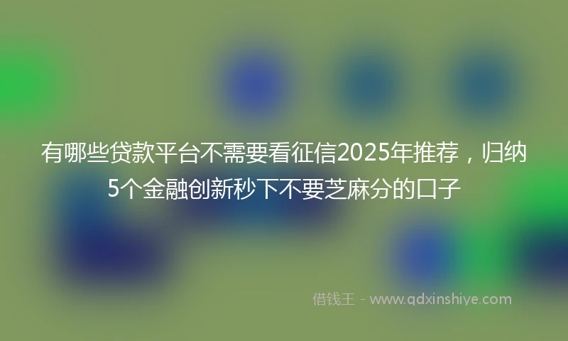 有哪些贷款平台不需要看征信2025年推荐，归纳5个金融创新秒下不要芝麻分的口子
