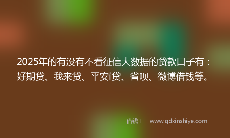 2025年的有没有不看征信大数据的贷款口子有：好期贷、我来贷、平安i贷、省呗、微博借钱等。