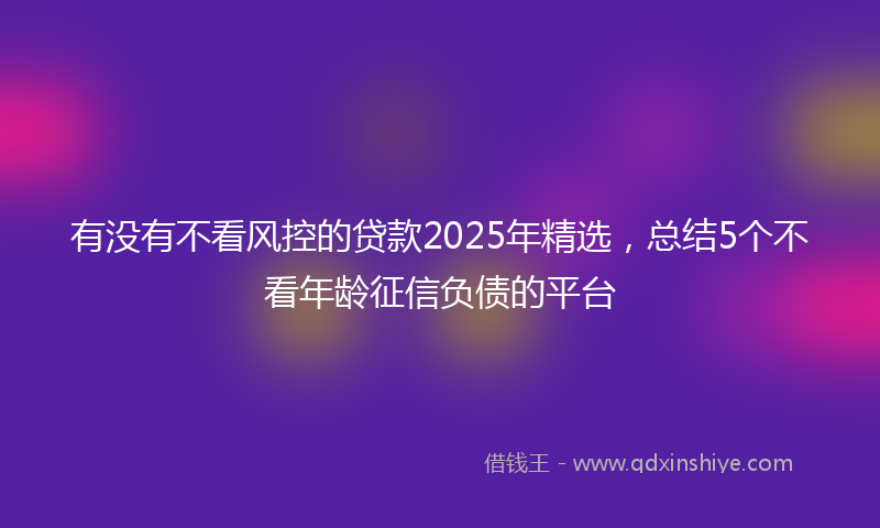 有没有不看风控的贷款2025年精选，总结5个不看年龄征信负债的平台