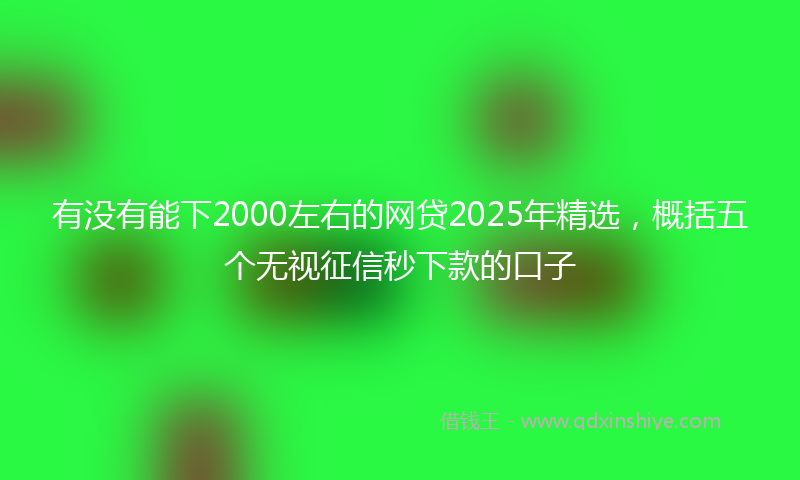 有没有能下2000左右的网贷2025年精选，概括五个无视征信秒下款的口子