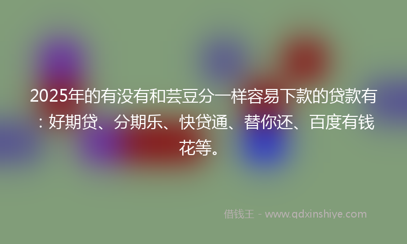 2025年的有没有和芸豆分一样容易下款的贷款有：好期贷、分期乐、快贷通、替你还、百度有钱花等。