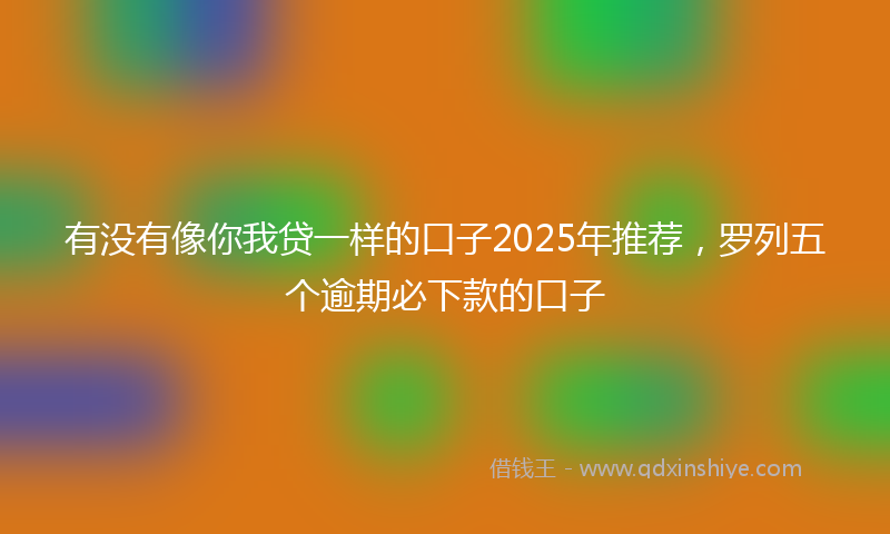 有没有像你我贷一样的口子2025年推荐，罗列五个逾期必下款的口子