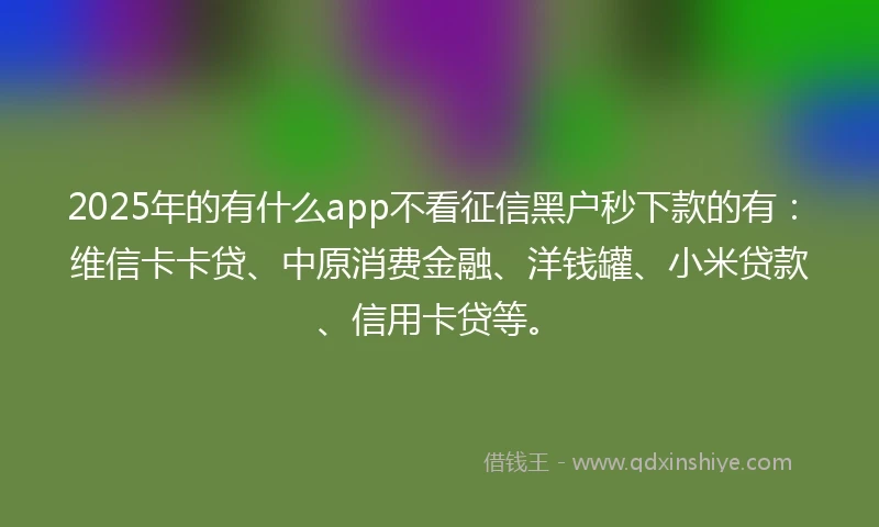 2025年的有什么app不看征信黑户秒下款的有：维信卡卡贷、中原消费金融、洋钱罐、小米贷款、信用卡贷等。