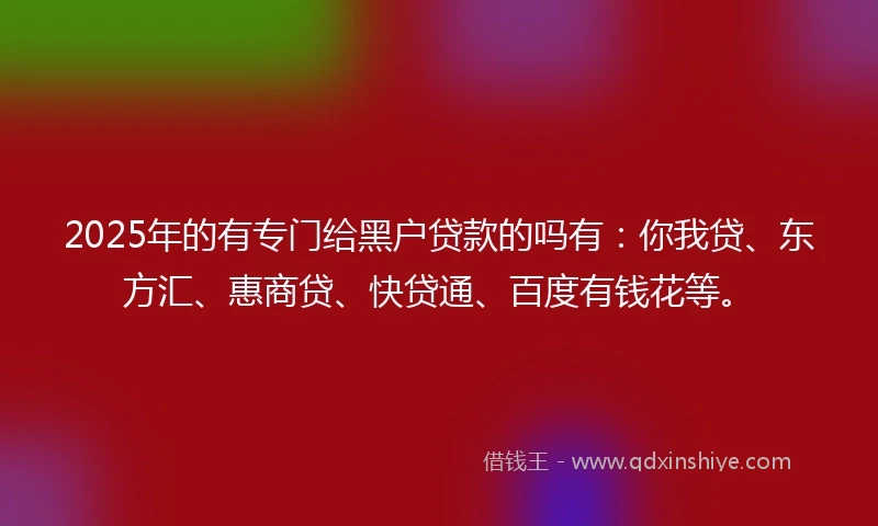 2025年的有专门给黑户贷款的吗有：你我贷、东方汇、惠商贷、快贷通、百度有钱花等。