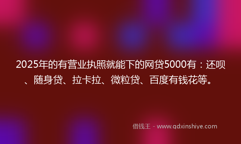 2025年的有营业执照就能下的网贷5000有：还呗、随身贷、拉卡拉、微粒贷、百度有钱花等。