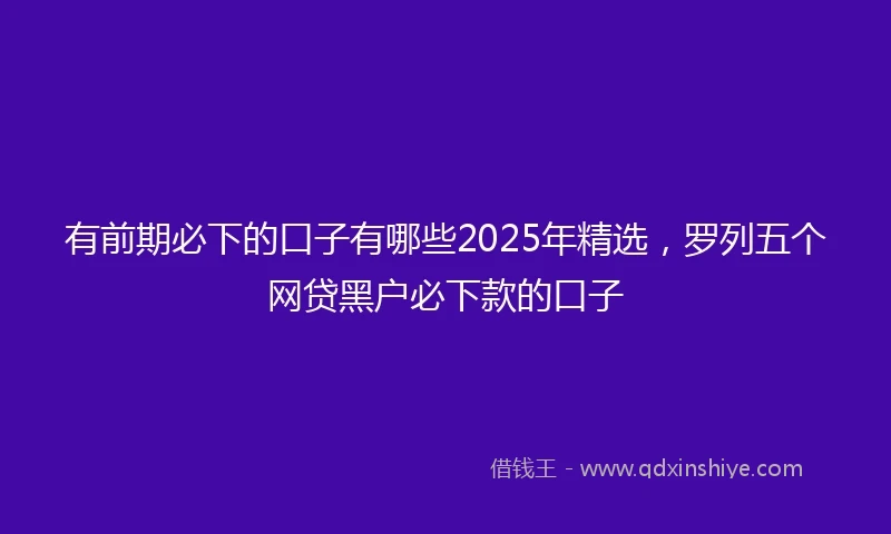 有前期必下的口子有哪些2025年精选，罗列五个网贷黑户必下款的口子