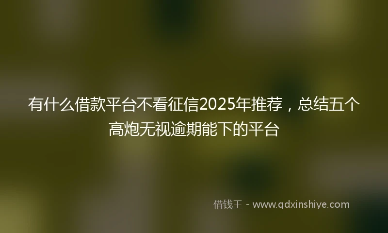 有什么借款平台不看征信2025年推荐，总结五个高炮无视逾期能下的平台