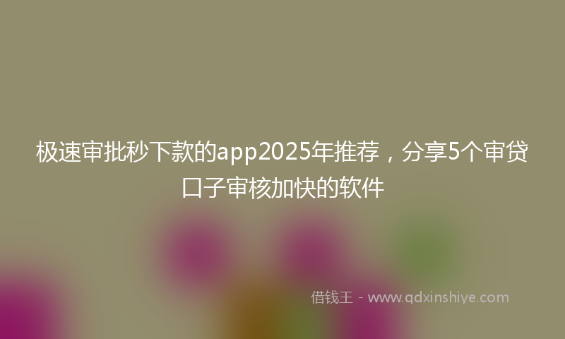 极速审批秒下款的app2025年推荐，分享5个审贷口子审核加快的软件