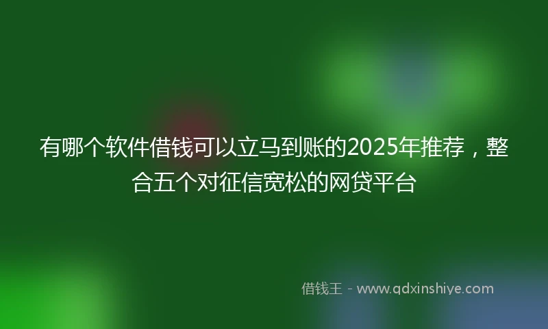 有哪个软件借钱可以立马到账的2025年推荐，整合五个对征信宽松的网贷平台