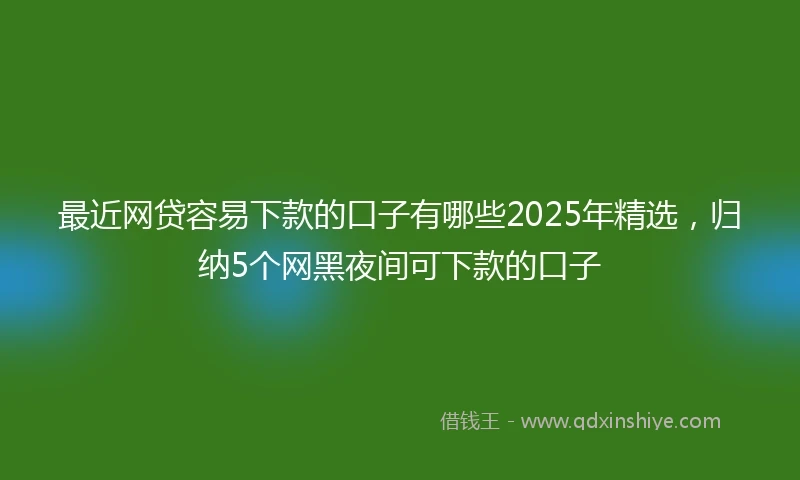 最近网贷容易下款的口子有哪些2025年精选，归纳5个网黑夜间可下款的口子