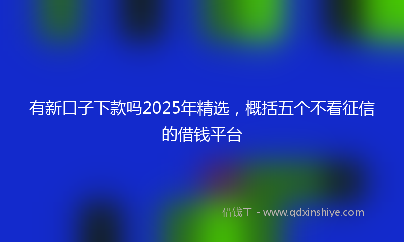 有新口子下款吗2025年精选，概括五个不看征信的借钱平台
