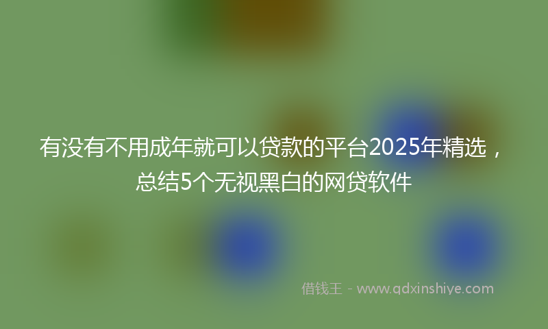 有没有不用成年就可以贷款的平台2025年精选，总结5个无视黑白的网贷软件