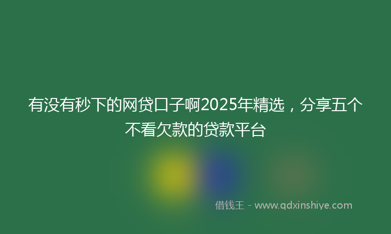 有没有秒下的网贷口子啊2025年精选，分享五个不看欠款的贷款平台