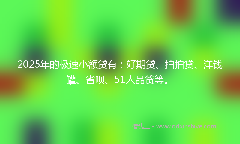 2025年的极速小额贷有：好期贷、拍拍贷、洋钱罐、省呗、51人品贷等。