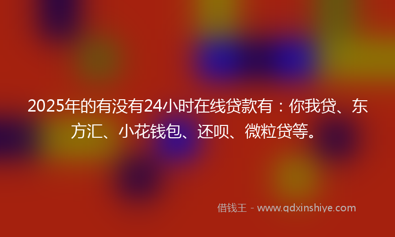 2025年的有没有24小时在线贷款有：你我贷、东方汇、小花钱包、还呗、微粒贷等。