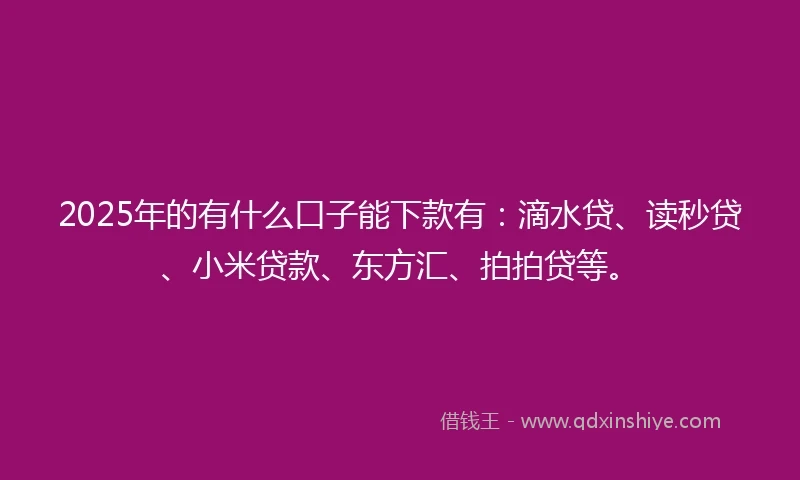 2025年的有什么口子能下款有：滴水贷、读秒贷、小米贷款、东方汇、拍拍贷等。