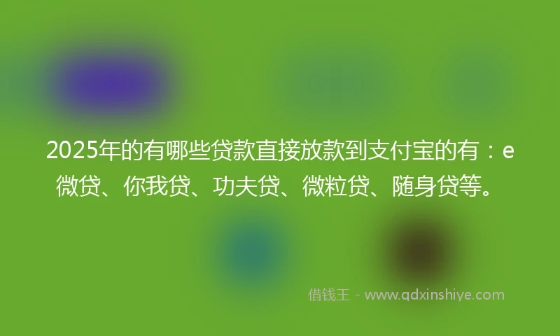 2025年的有哪些贷款直接放款到支付宝的有：e微贷、你我贷、功夫贷、微粒贷、随身贷等。