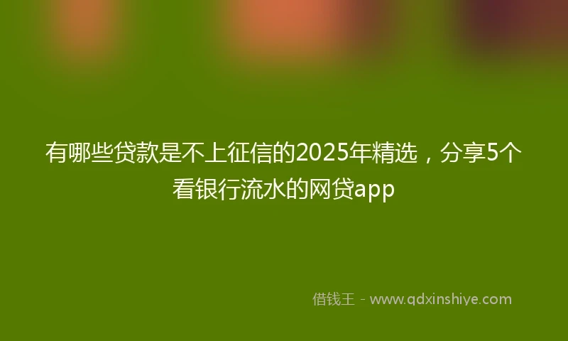 有哪些贷款是不上征信的2025年精选，分享5个看银行流水的网贷app