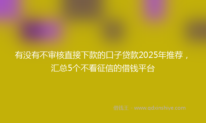 有没有不审核直接下款的口子贷款2025年推荐，汇总5个不看征信的借钱平台